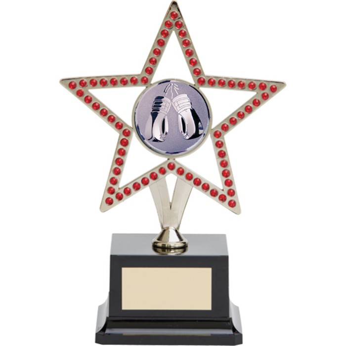 10'' SILVER METAL STAR WITH RED GEMSTONES - BOXING TROPHY 10'' SILVER METAL STAR WITH RED GEMSTONES - BOXING TROPHY